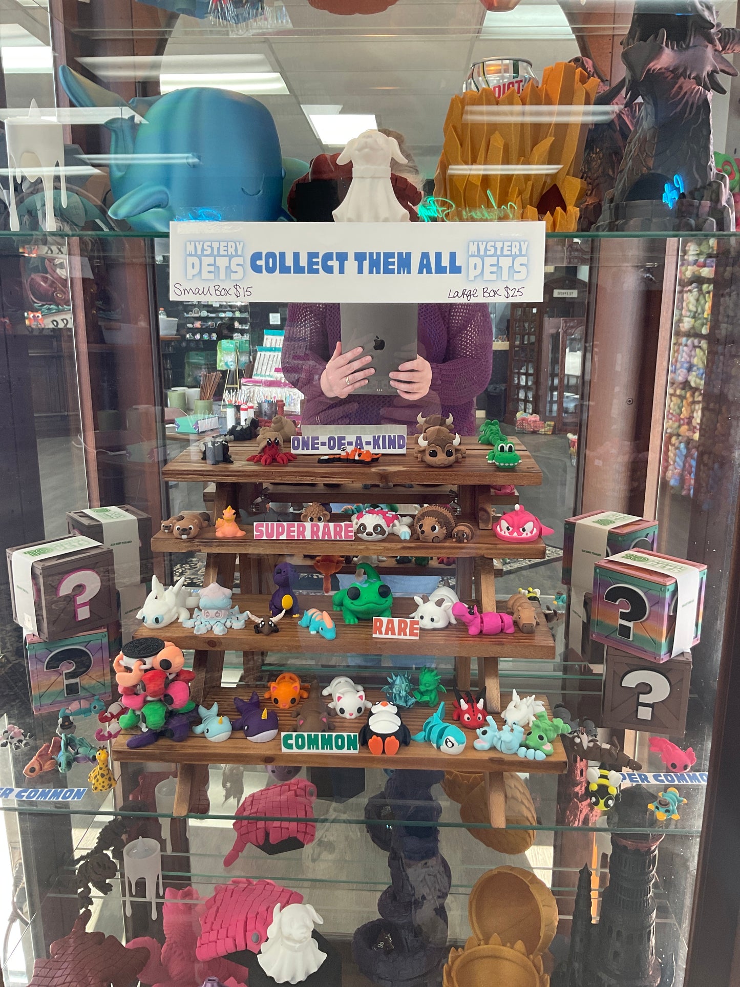 3-D Mystery Pets Box (2 Sizes to Choose)