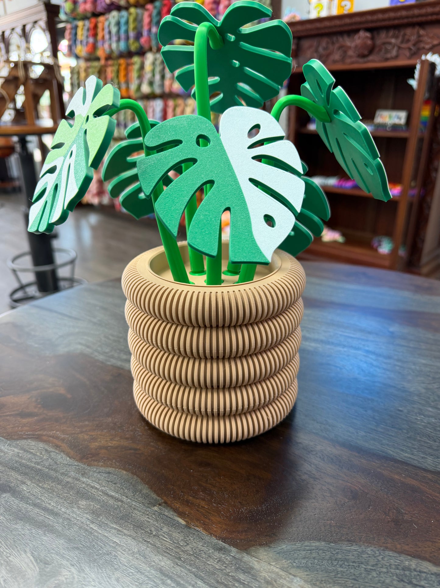 3-D Monstera Plant Coaster Set