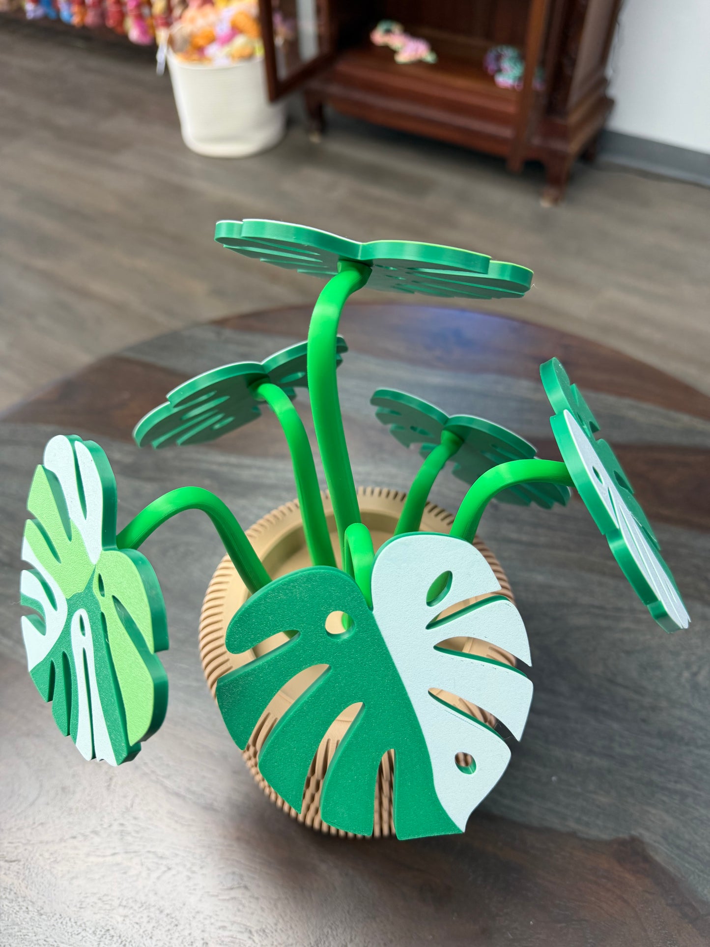 3-D Monstera Plant Coaster Set