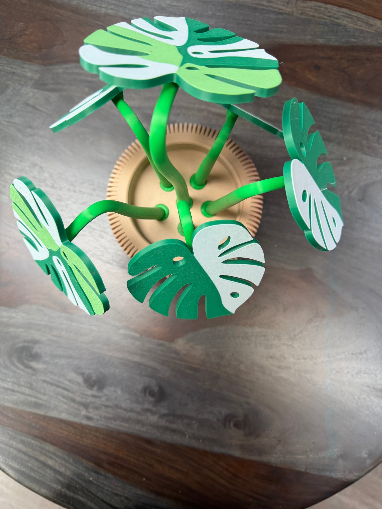 3-D Monstera Plant Coaster Set