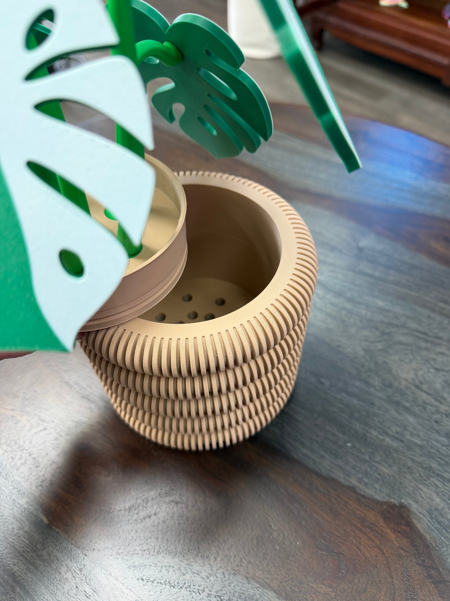 3-D Monstera Plant Coaster Set