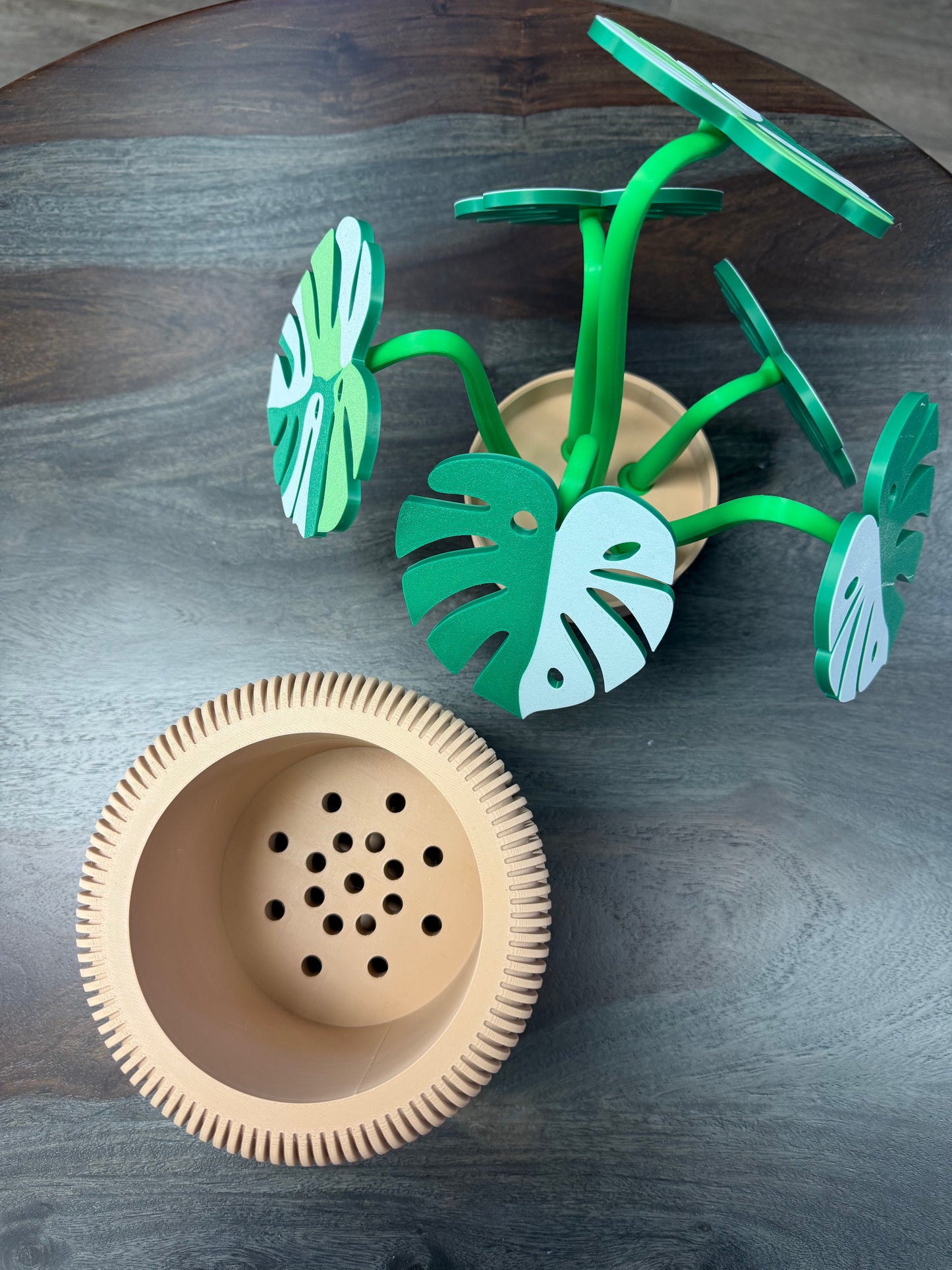 3-D Monstera Plant Coaster Set